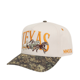 Texas - Camo