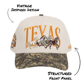 Texas - Camo