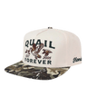 Bobwhite